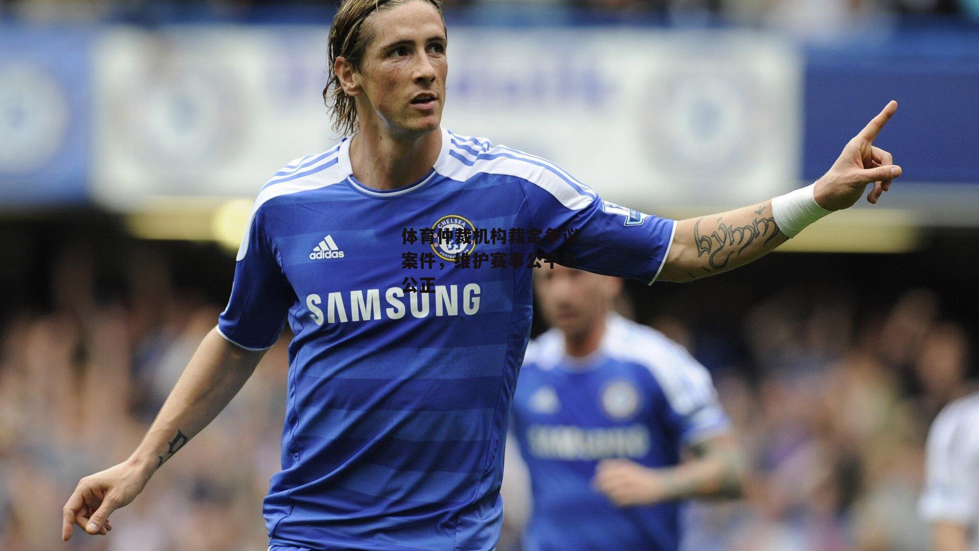 体育仲裁机构裁定争议案件，维护赛事公平与公正