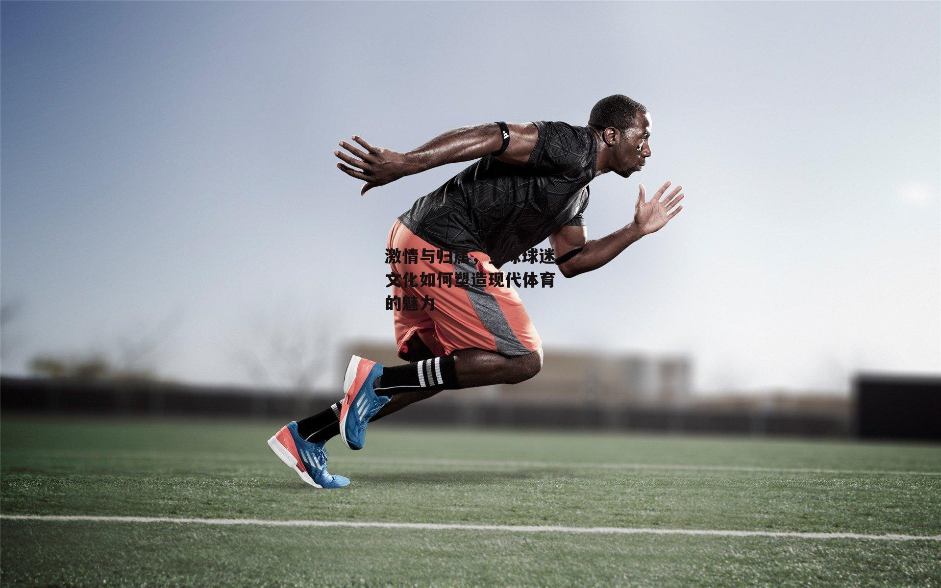 激情与归属，全球球迷文化如何塑造现代体育的魅力