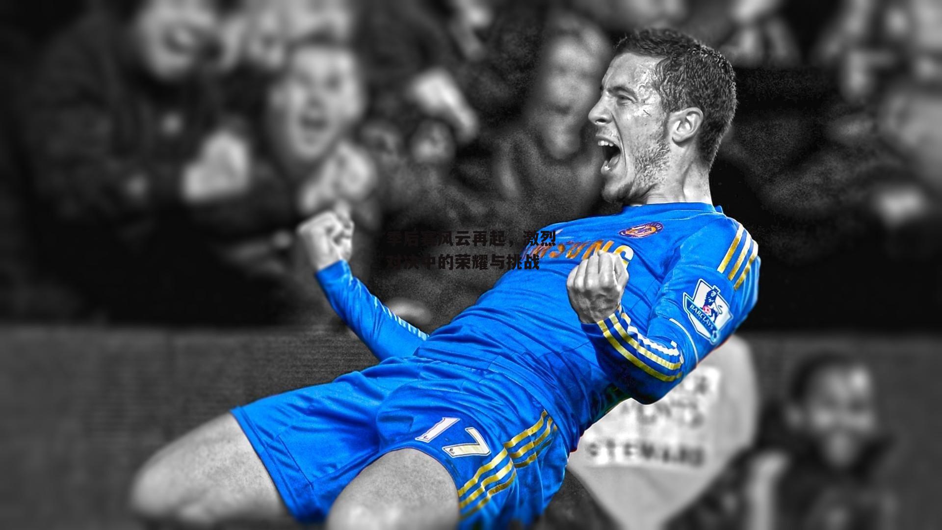 季后赛风云再起,激烈对决中的荣耀与挑战