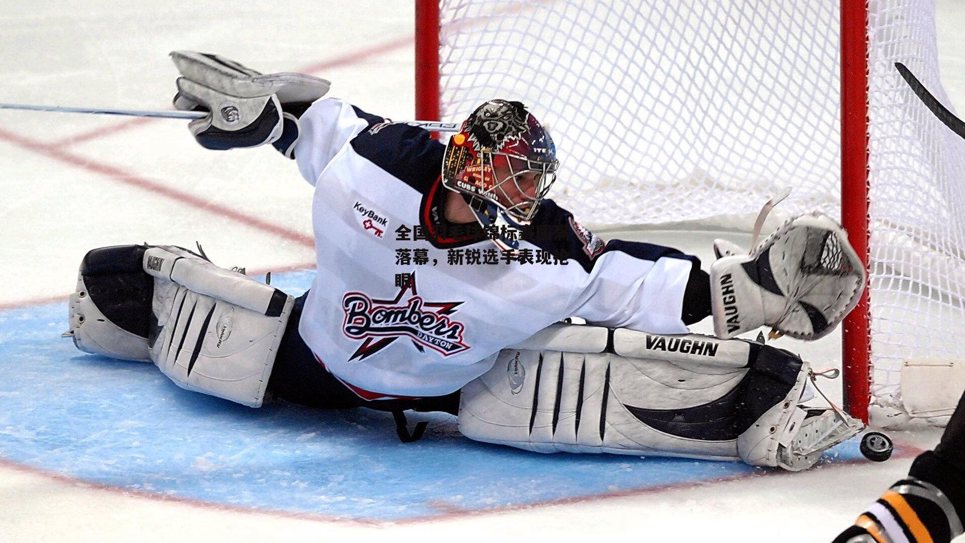 全国羽毛球锦标赛圆满落幕,新锐选手表现抢眼